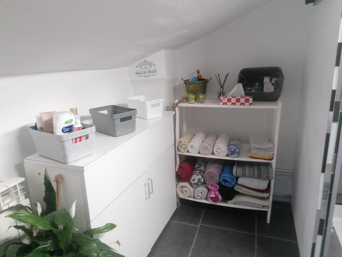 Chambre 23M2 Avec Jardin Wi-Fi Gratuit Saint-Girons Lejlighed Eksteriør billede