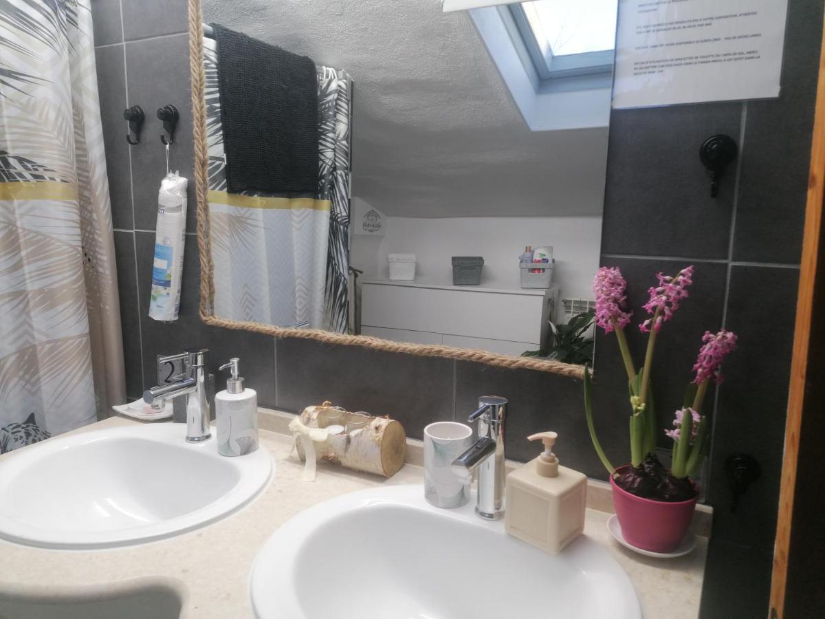 Chambre 23M2 Avec Jardin Wi-Fi Gratuit Saint-Girons Lejlighed Eksteriør billede
