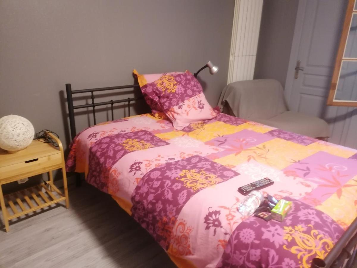 Chambre 23M2 Avec Jardin Wi-Fi Gratuit Saint-Girons Lejlighed Eksteriør billede